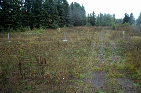 Hiawatha Drive-In Theatre - Poles In The Field